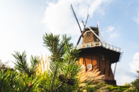 252309-Windmill-4